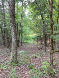 1261 Ellejoy Road Seymour, TN 37865 - Photo 37 of 38 IMG_1009