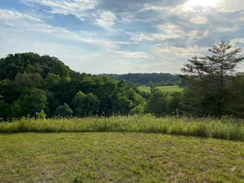 1261 Ellejoy Road Seymour, TN 37865 - Photo 38 of 38 IMG_1003