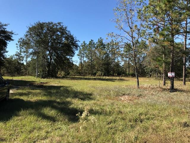301 Whisper Ridge Loop Waynesville, GA 31566 - Photo 1 of 1