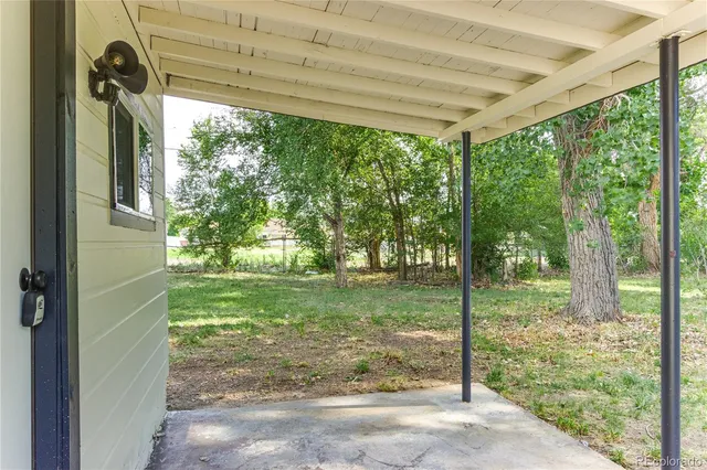 a view of a yard with plants and large trees