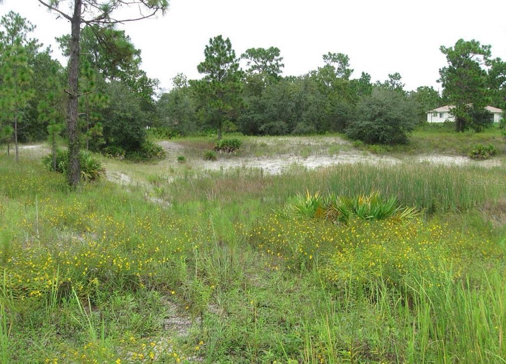 0 Fulton Avenue Weeki Wachee, FL 34613 - Photo 4 of 7