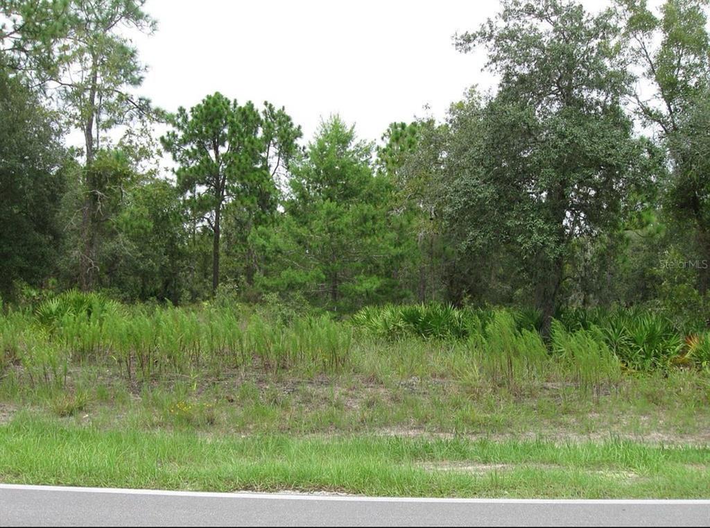 0 Fulton Avenue Weeki Wachee, FL 34613 - Photo 5 of 7