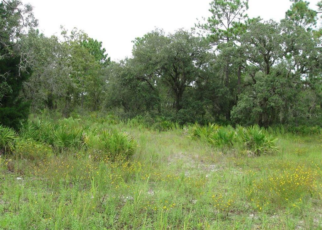 0 Fulton Avenue Weeki Wachee, FL 34613 - Photo 6 of 7