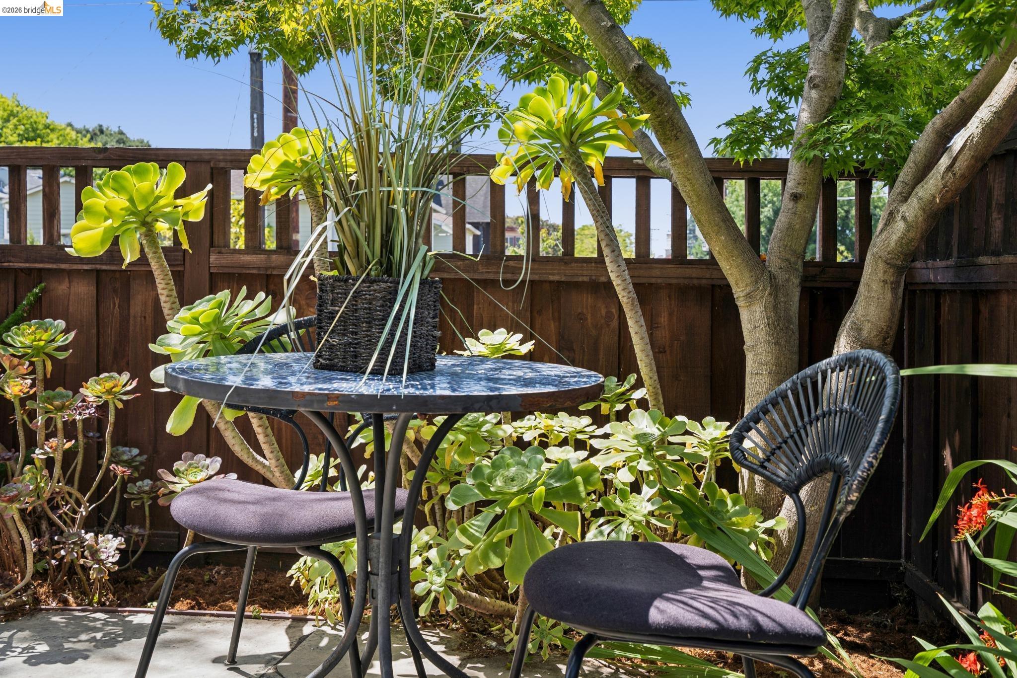 1701 Derby Street Berkeley, CA 94703 - Photo 37 of 39 Private patio area featuring a dark-finish patio table and chairs, surrounded by mature succulents and lush foliage