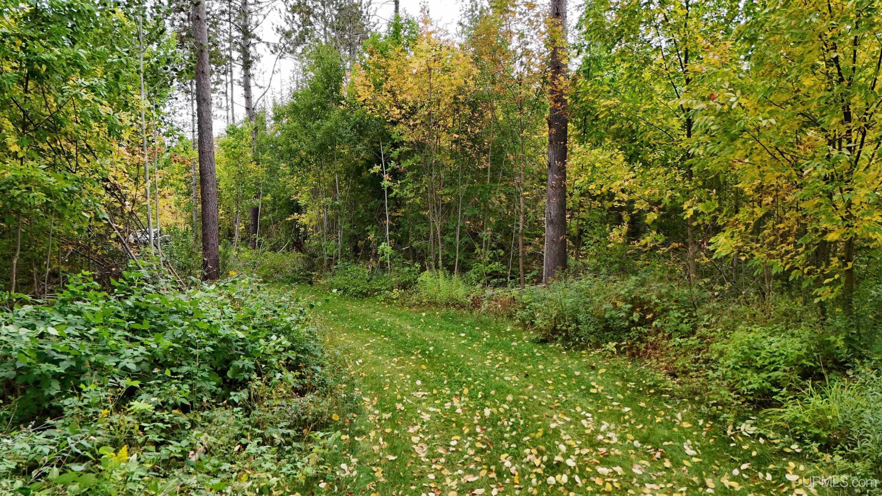 19 Norwich Road Ontonagon, MI 49953 - Photo 5 of 51