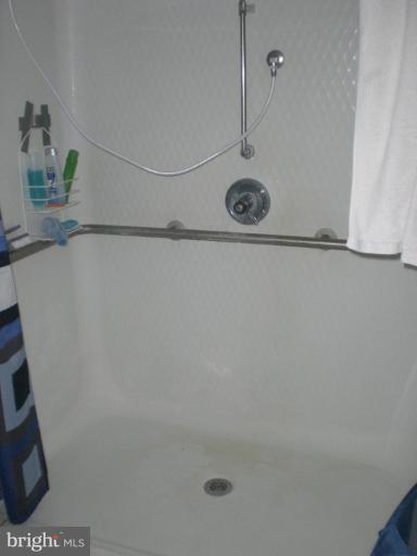 3905 Boteler Road Mount Airy, MD 21771 - Photo 6 of 26 Roll in shower in handicapped addition
