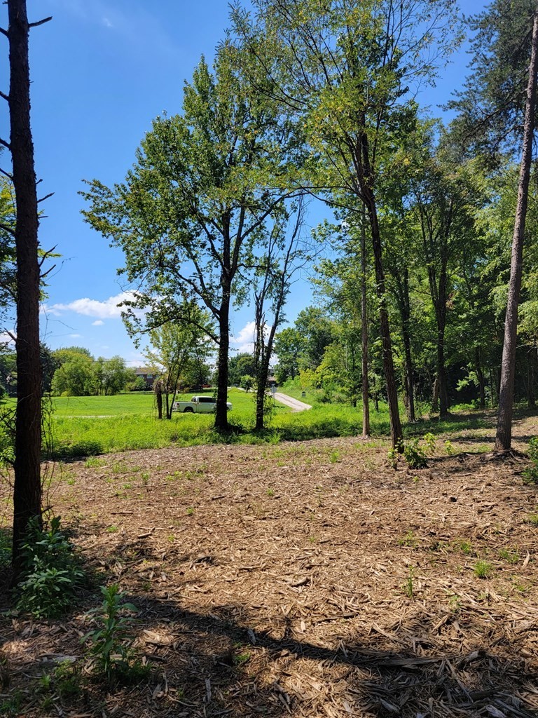 204 Vandy Circle Sparta, TN 38583 - Photo 5 of 9 a view of a park with tree s