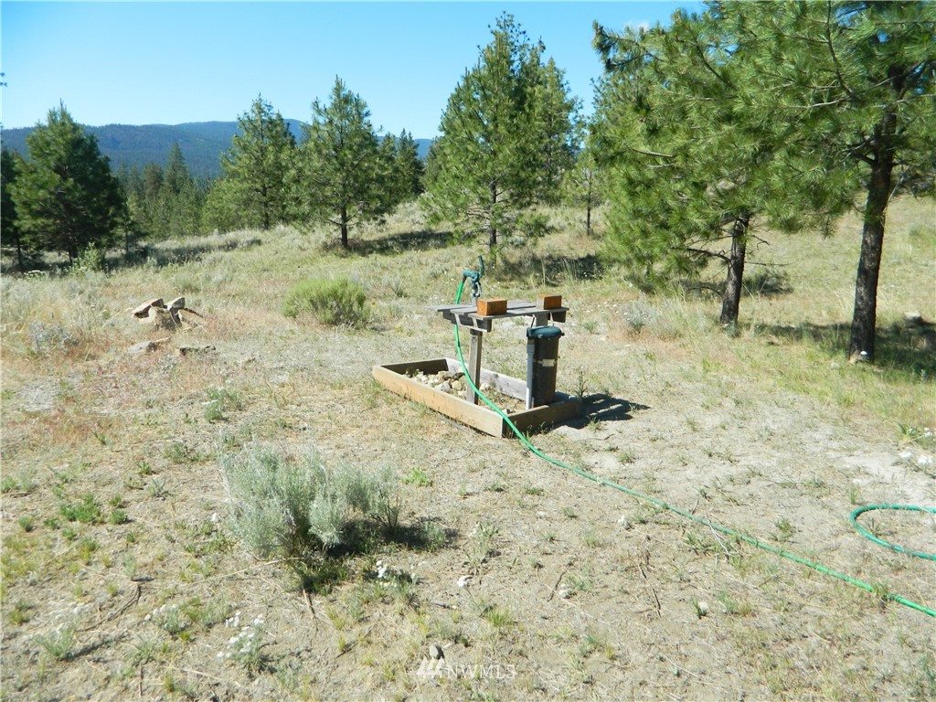 53 Neil Canyon Road Tonasket, WA 98855 - Photo 7 of 16 Gallery Image 7
