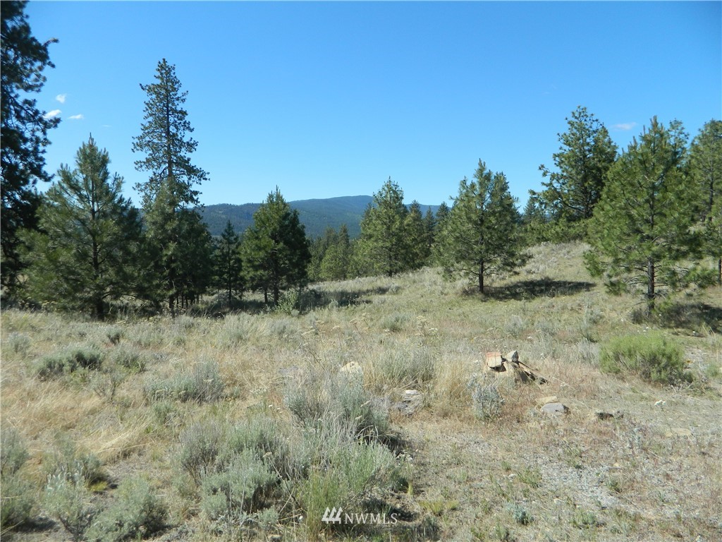 53 Neil Canyon Road Tonasket, WA 98855 - Photo 8 of 16 Gallery Image 8