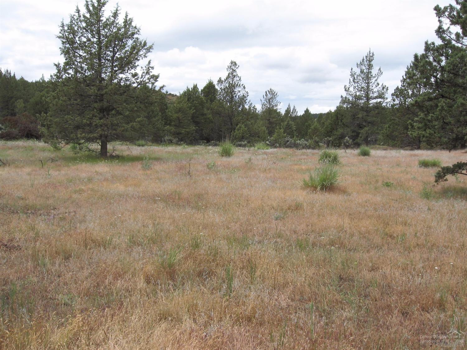 0 Northeast Cody Ridge Road Post, OR 97754 - Photo 23 of 25 Additional Photo