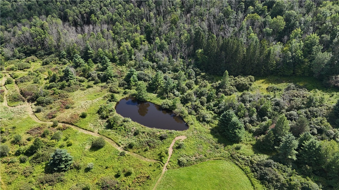 5709 Cemetery Hill Road Amity, NY 14813 - Photo 6 of 19 Stocked Pond and Fields with Trails