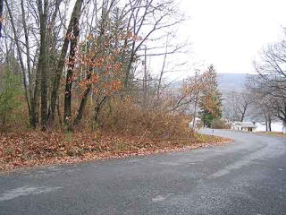 0 Cottage Road Alpine, NY 14805 - Photo 1 of 1 Gallery Image 1