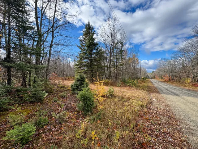 $249,000 | Tbd Lowell Road, Carroll Plt, ME 04487