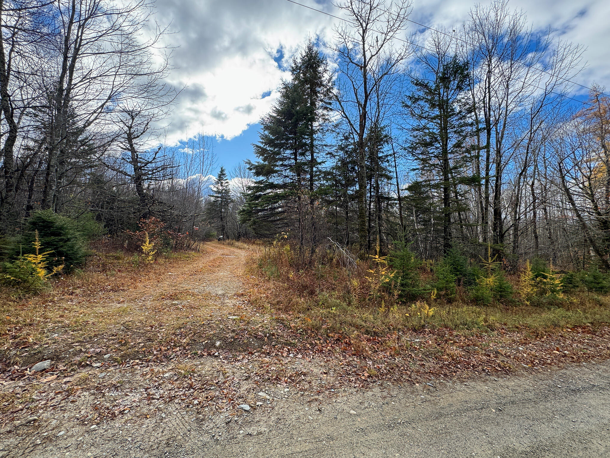 Tbd Lowell Road Carroll Plt, ME 04487 - Photo 14 of 30 14