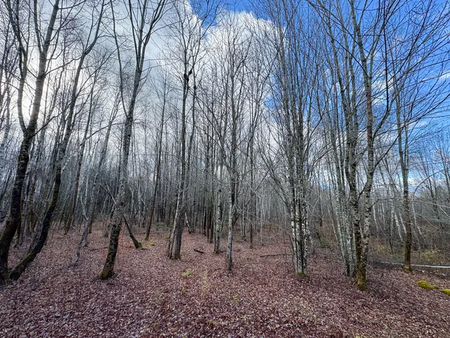 $249,000 | Tbd Lowell Road, Carroll Plt, ME 04487