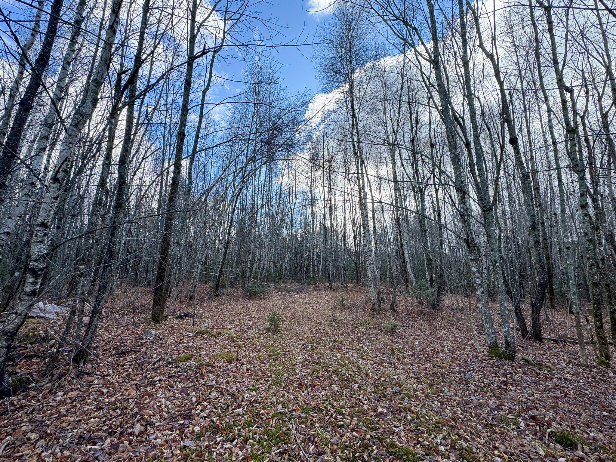 Tbd Lowell Road Carroll Plt, ME 04487 - Photo 17 of 30 17