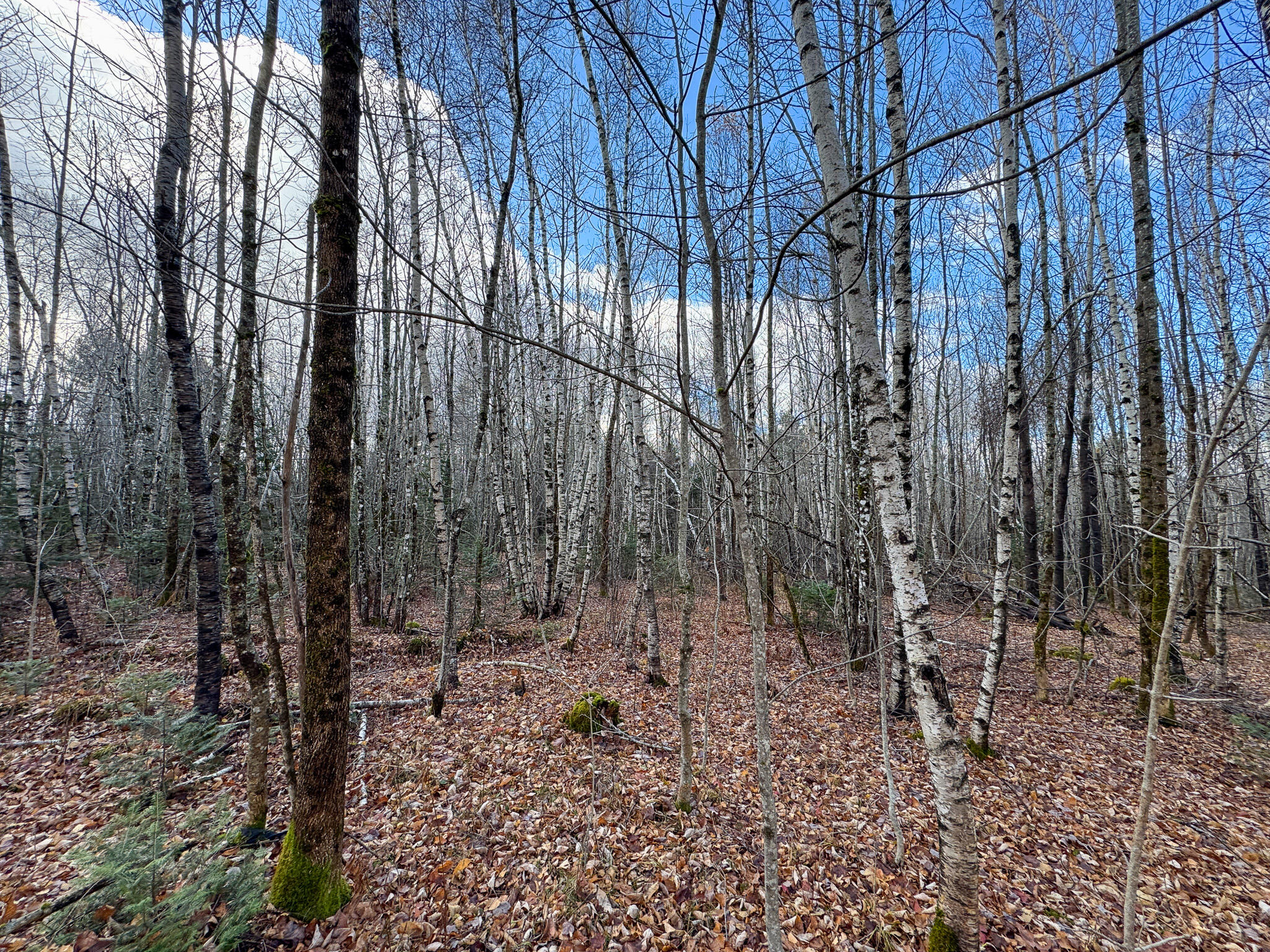 Tbd Lowell Road Carroll Plt, ME 04487 - Photo 18 of 30 18