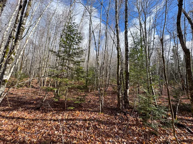 $249,000 | Tbd Lowell Road, Carroll Plt, ME 04487