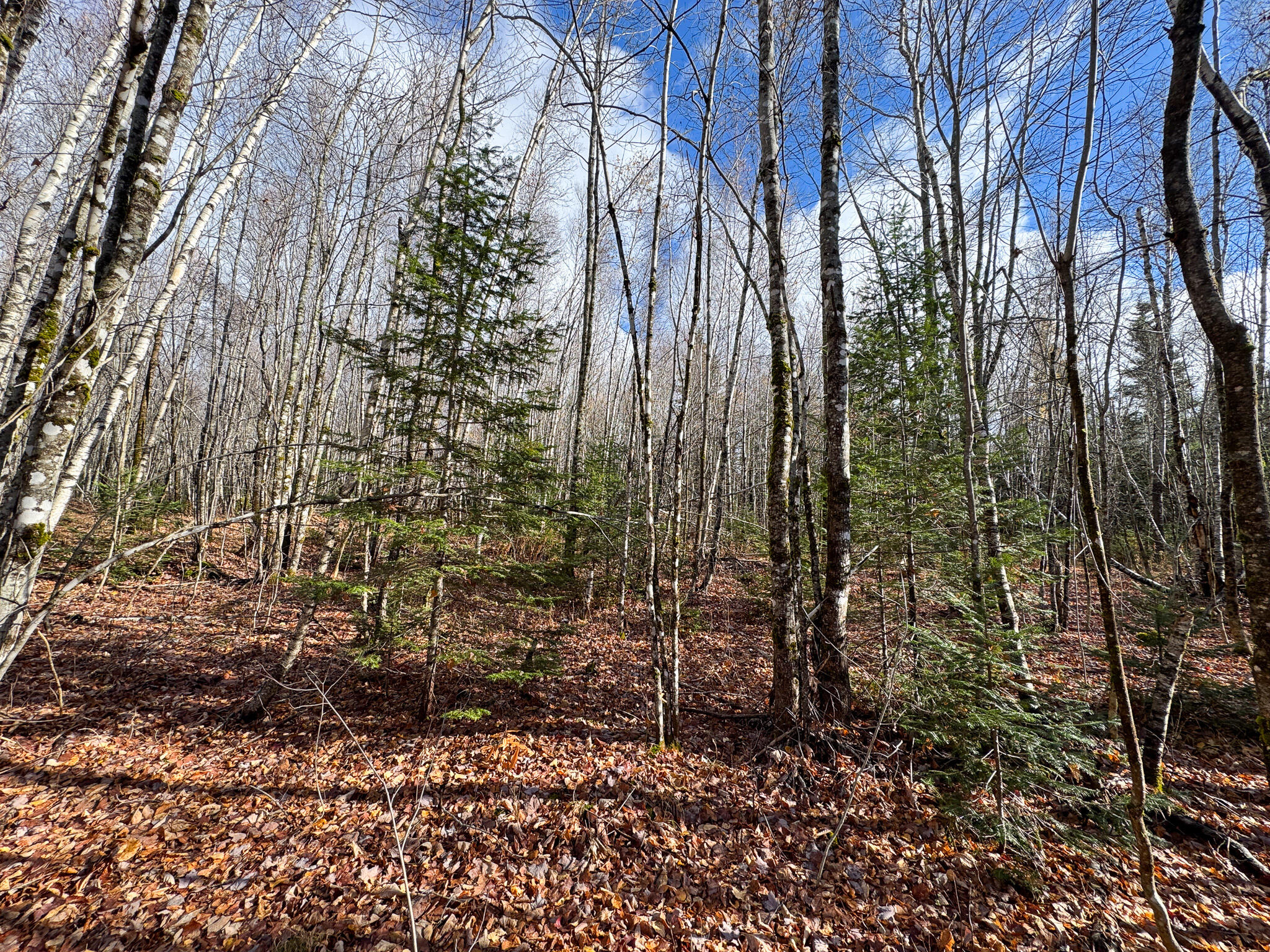 Tbd Lowell Road Carroll Plt, ME 04487 - Photo 20 of 30 20