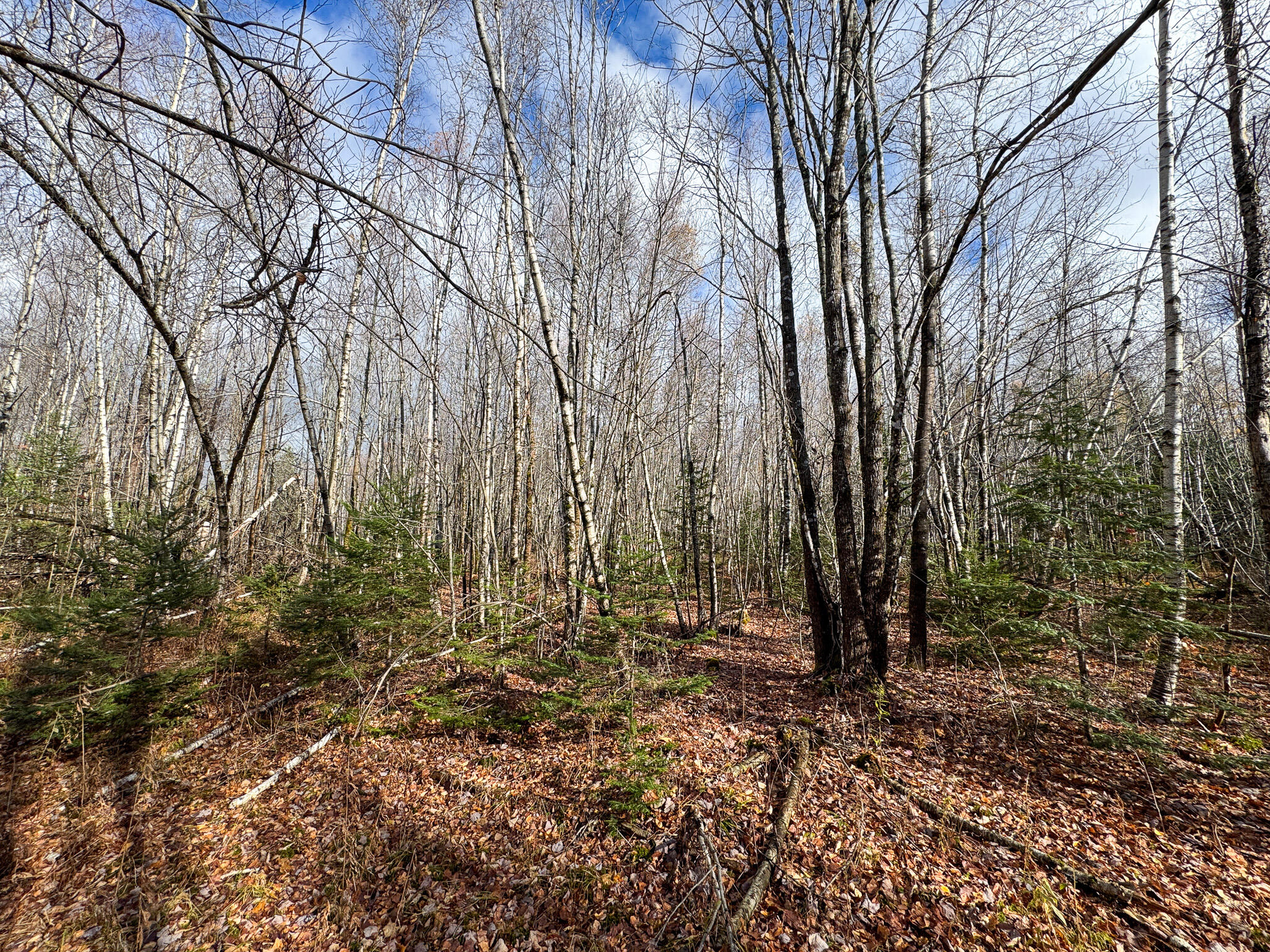 Tbd Lowell Road Carroll Plt, ME 04487 - Photo 23 of 30 23