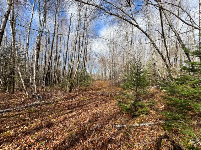 $249,000 | Tbd Lowell Road, Carroll Plt, ME 04487