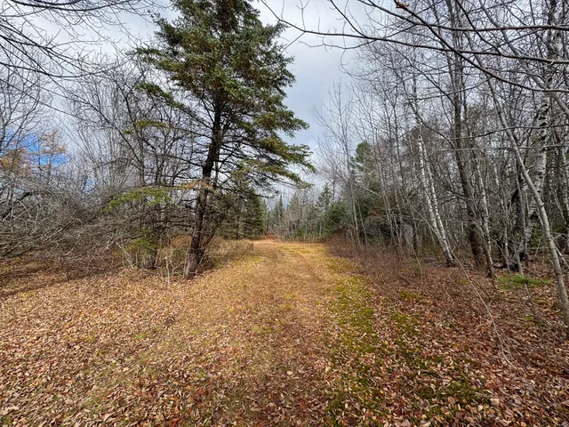 $249,000 | Tbd Lowell Road, Carroll Plt, ME 04487