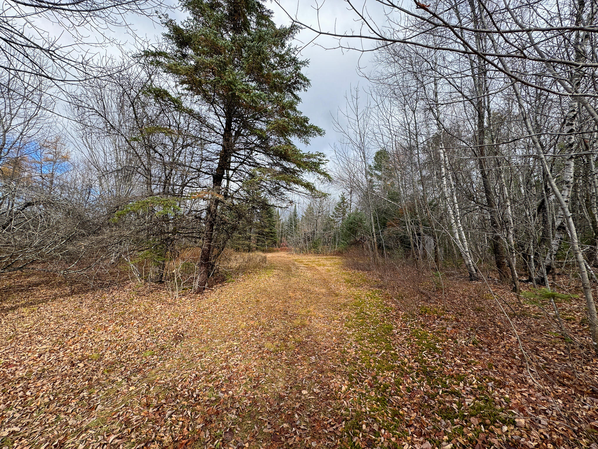 Tbd Lowell Road Carroll Plt, ME 04487 - Photo 25 of 30 25