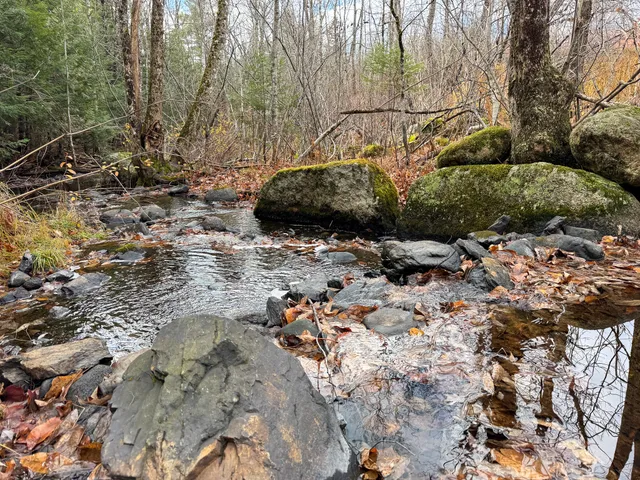 $249,000 | Tbd Lowell Road, Carroll Plt, ME 04487