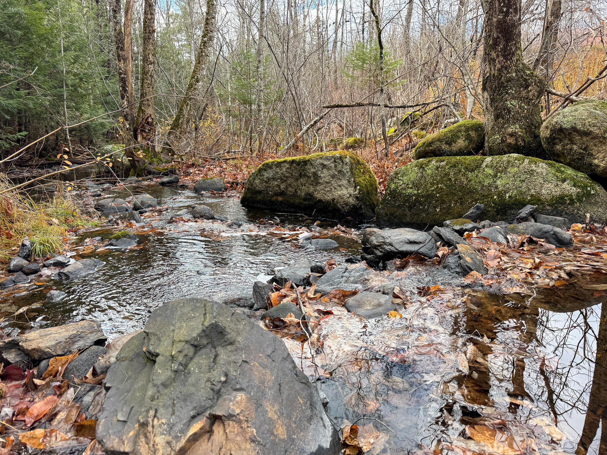 Tbd Lowell Road Carroll Plt, ME 04487 - Photo 26 of 30 26