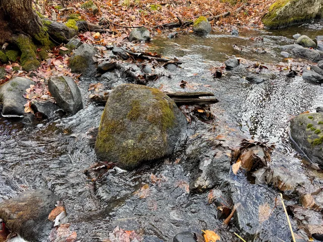 $249,000 | Tbd Lowell Road, Carroll Plt, ME 04487