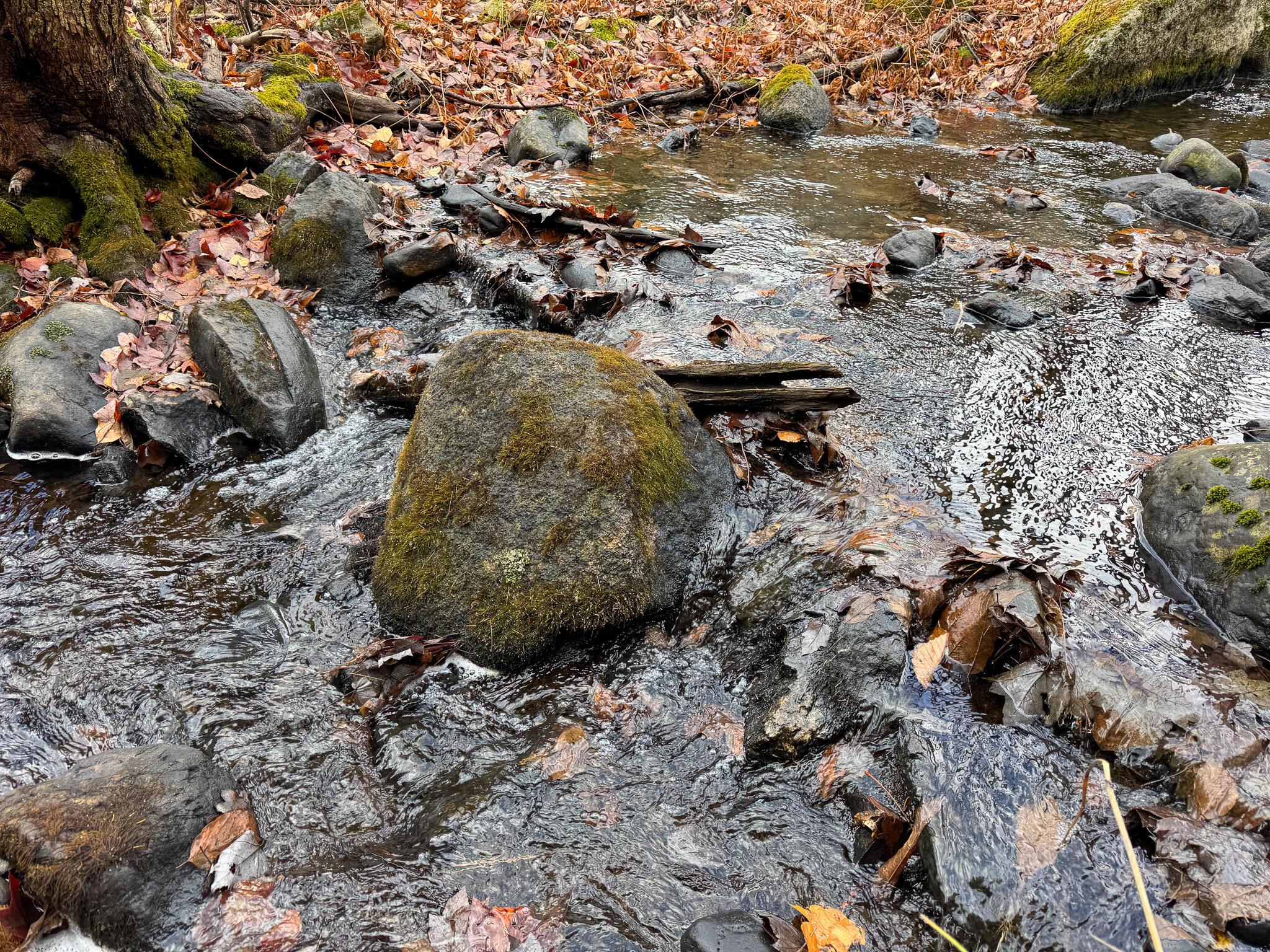 Tbd Lowell Road Carroll Plt, ME 04487 - Photo 27 of 30 27