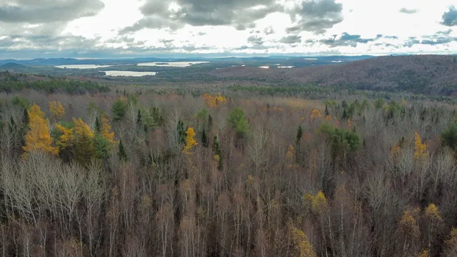 $249,000 | Tbd Lowell Road, Carroll Plt, ME 04487