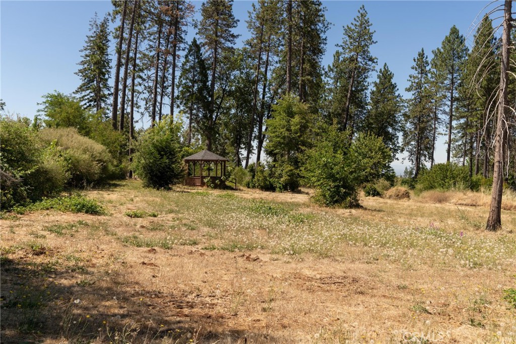 1368 Brill Road Paradise, CA 95969 - Photo 4 of 14