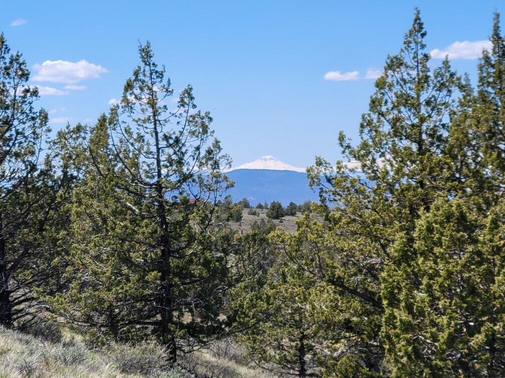 103 Southeast Tbd Road Prineville, OR 97754 - Photo 2 of 35 Resized_20240511_124918_1715616589915