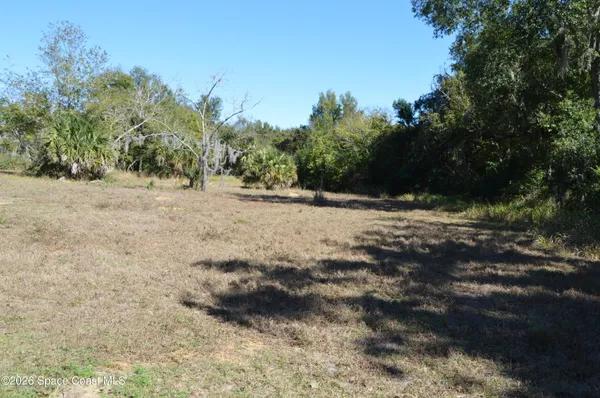 a view of a yard with trees
