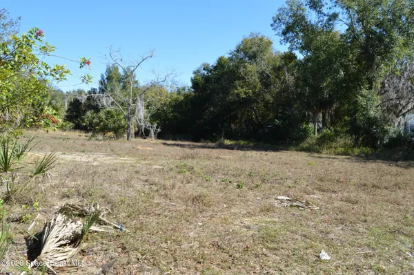 a view of backyard with green space