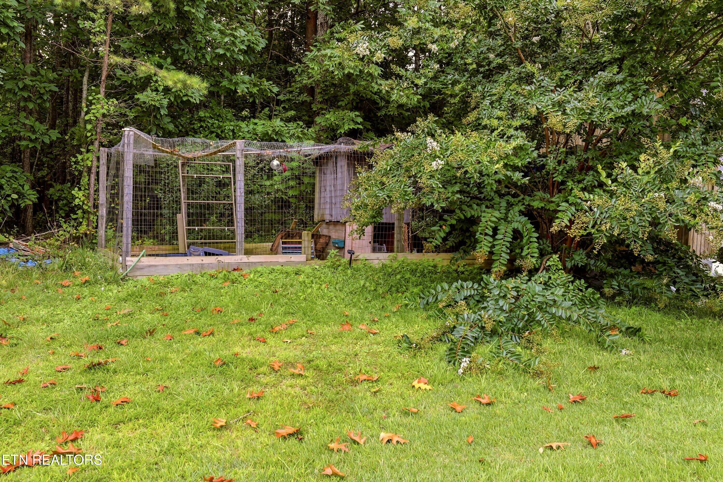 1563 Riggs Chapel Road Harriman, TN 37748 - Photo 24 of 34 24-FINAL-24