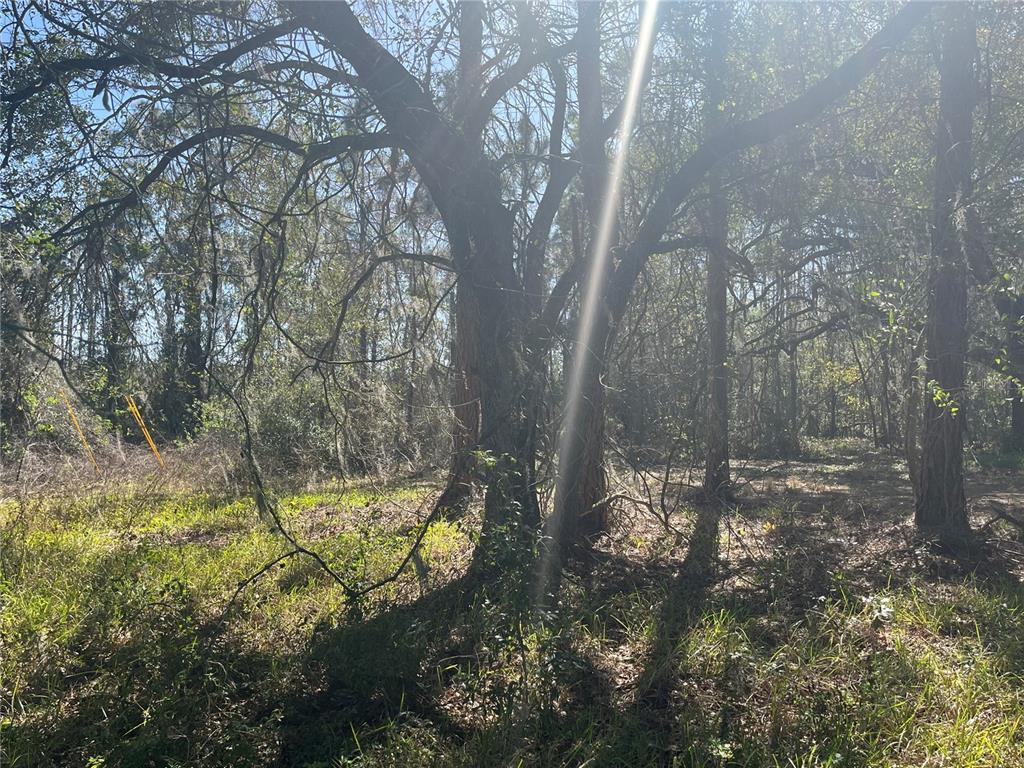 Mt Pleasant Road Groveland, FL 34736 - Photo 11 of 15