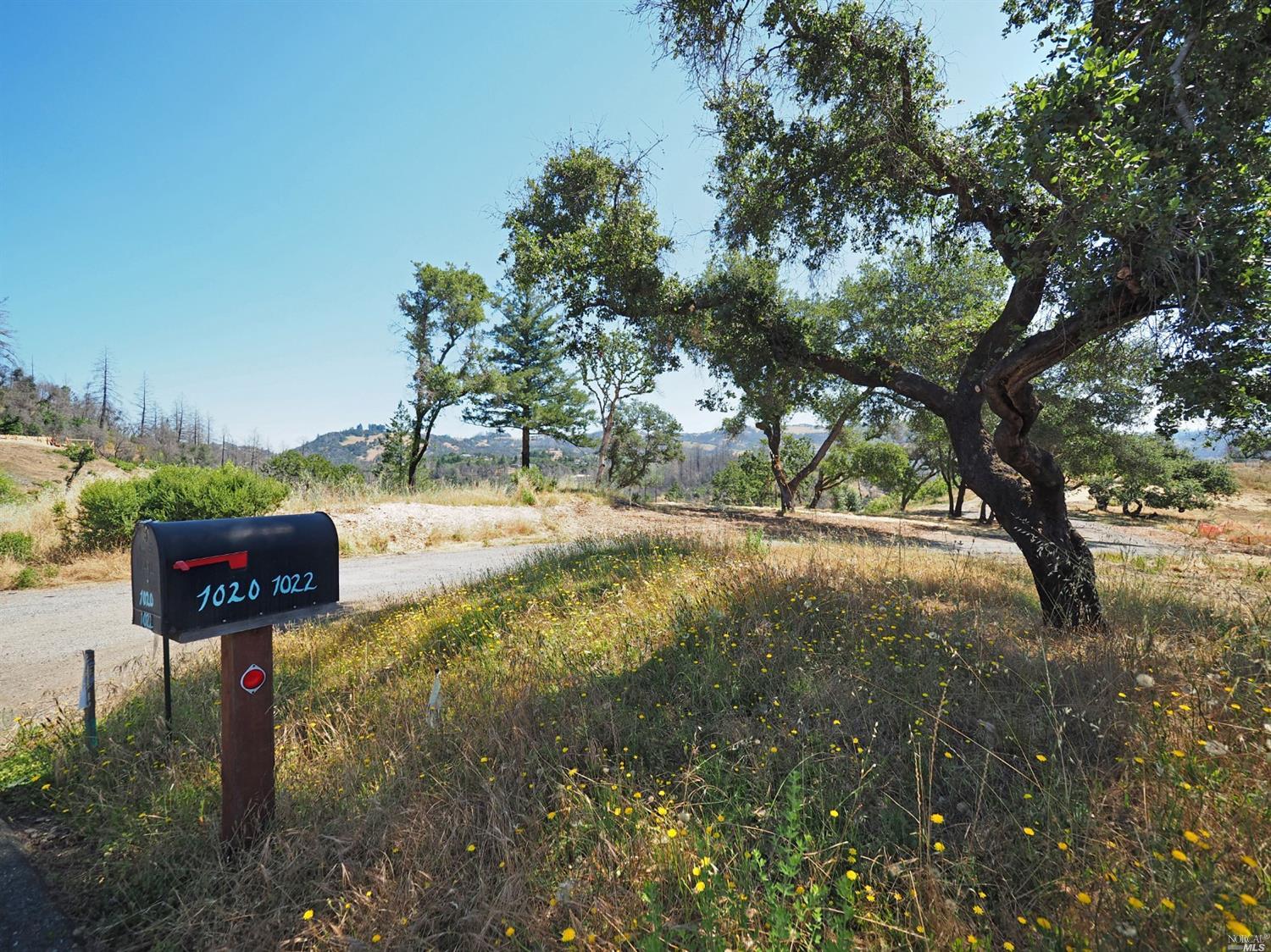 1020-1022 Quietwater Ridge Santa Rosa, CA 95404 - Photo 1 of 1 a view of a yard with an trees