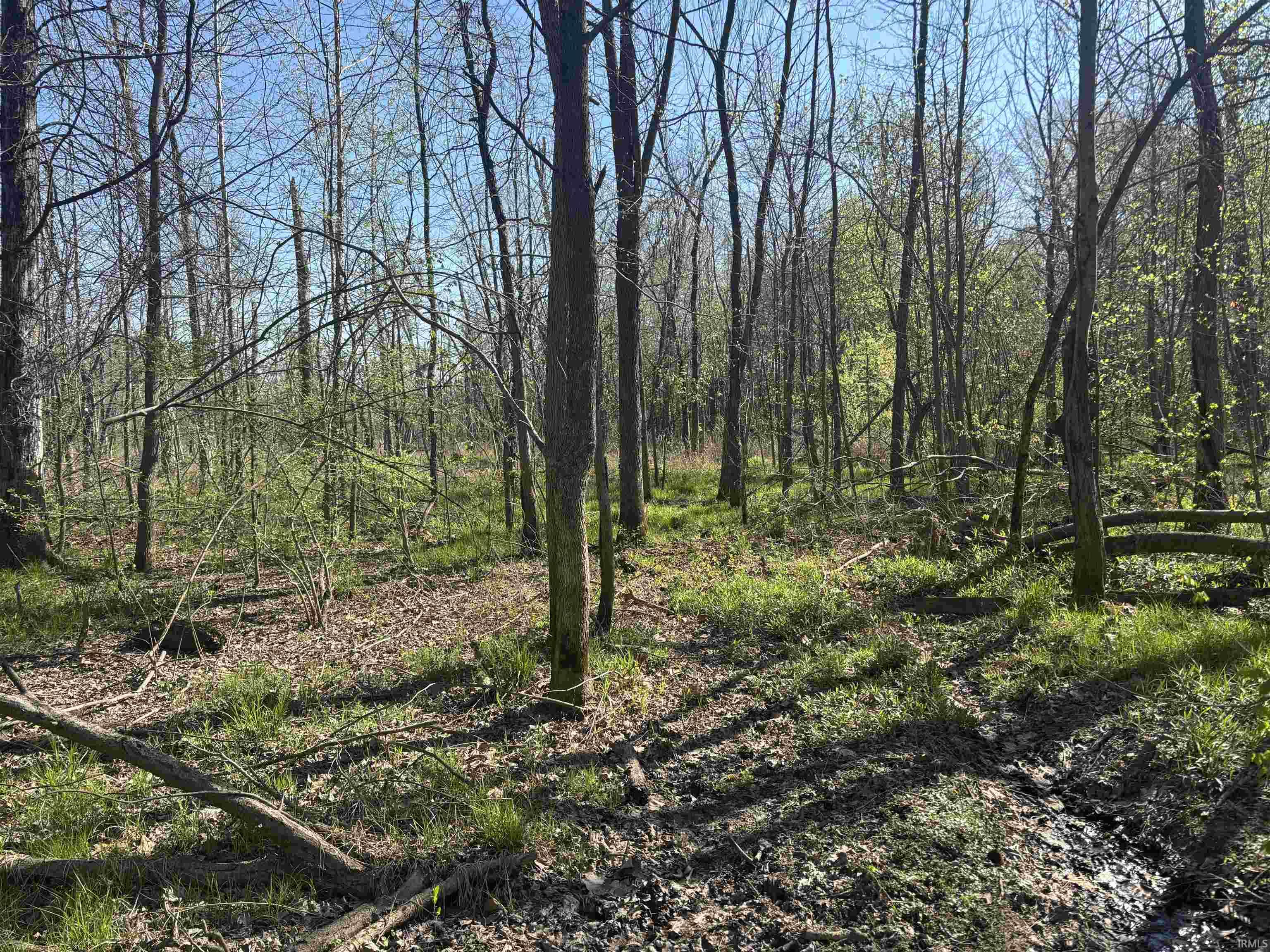 7000 South Meridian Road Oakland City, IN 47660 - Photo 11 of 15