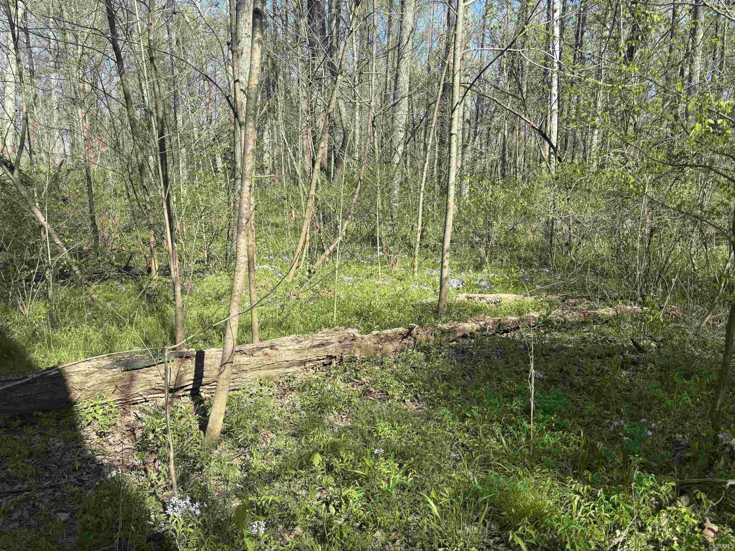7000 South Meridian Road Oakland City, IN 47660 - Photo 14 of 15