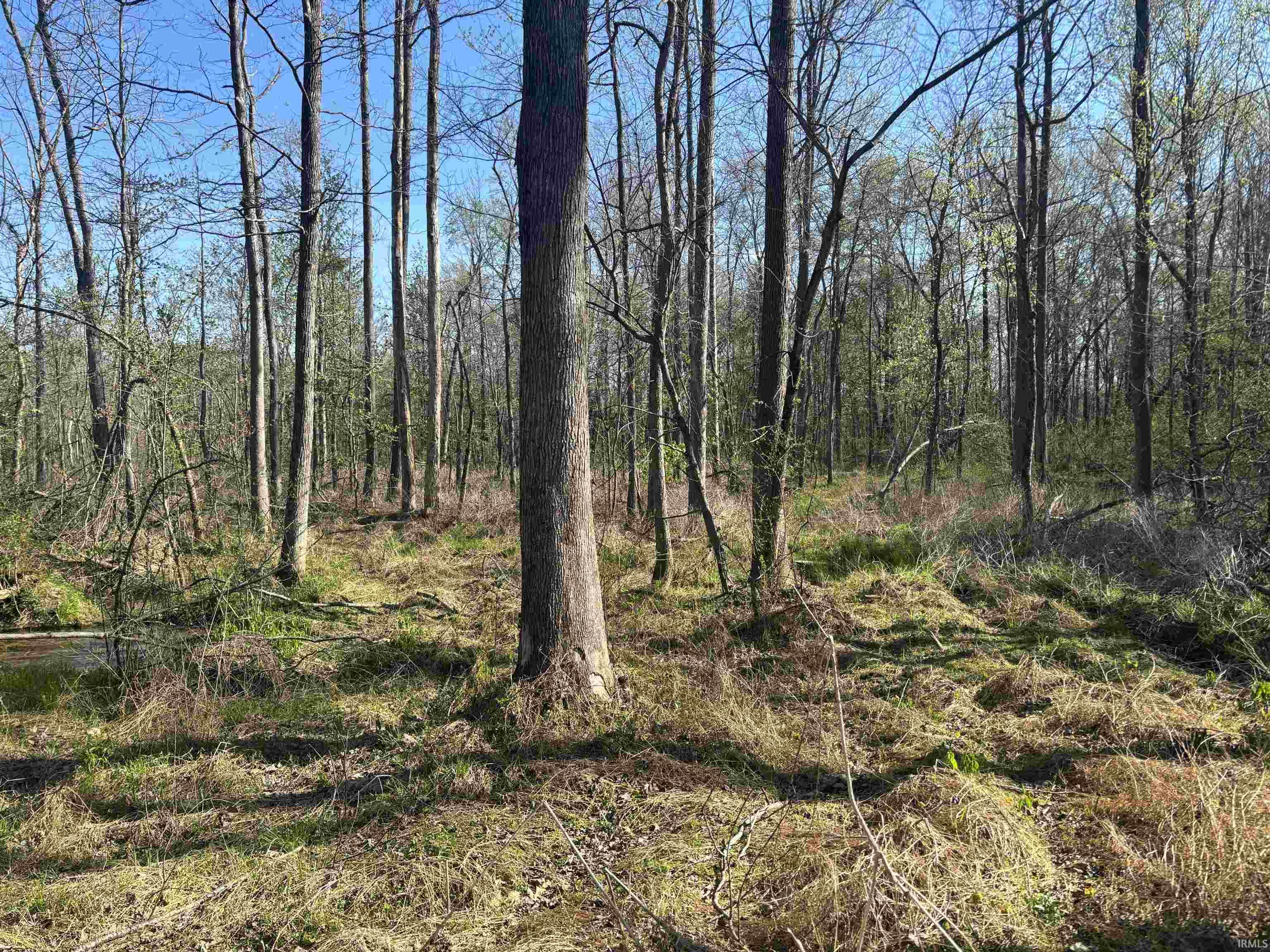 7000 South Meridian Road Oakland City, IN 47660 - Photo 10 of 15
