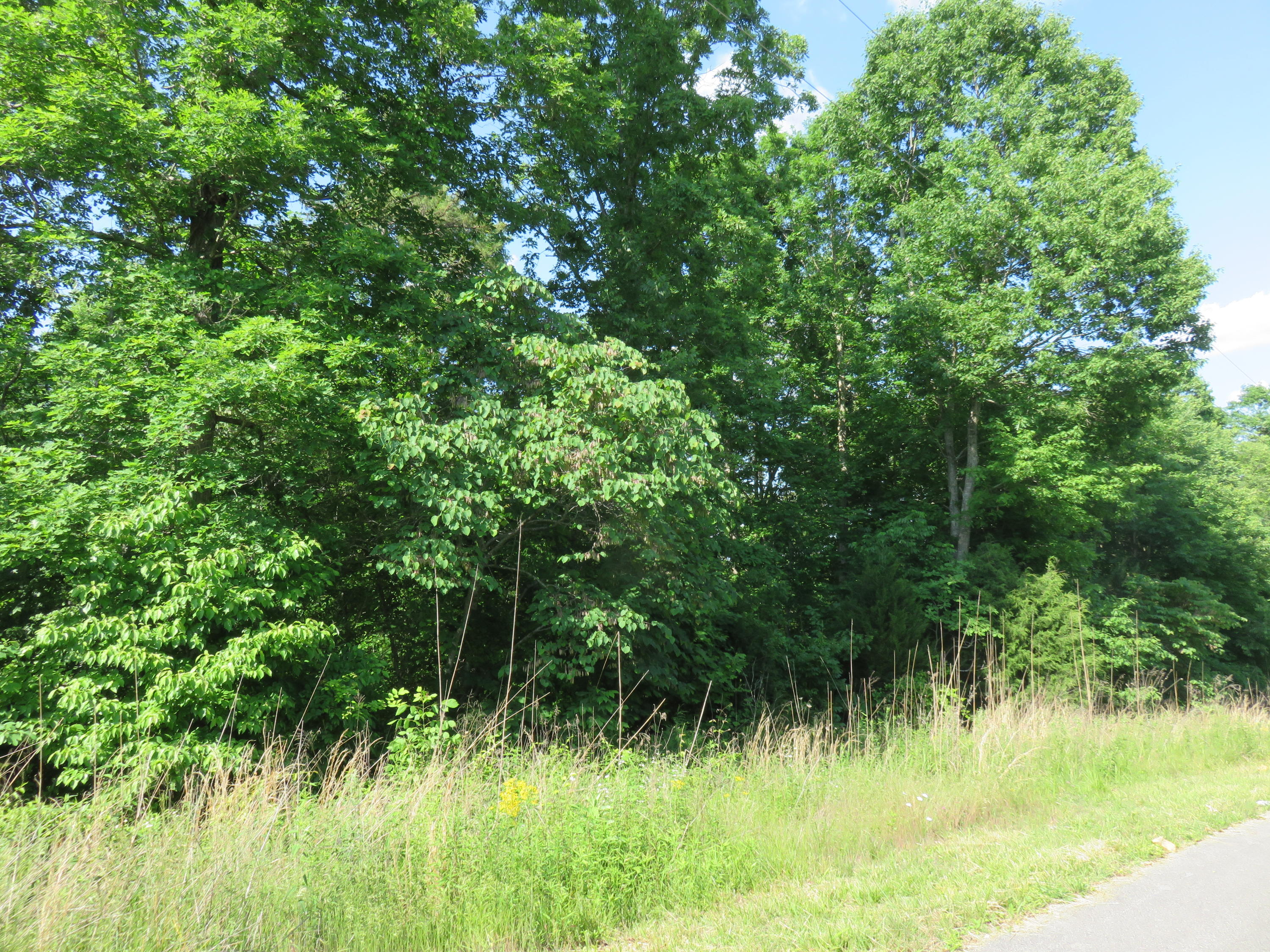 Lot #5 Humphreys Road Philadelphia, TN 37846 - Photo 1 of 1 Lot 5 Humphreys Rd