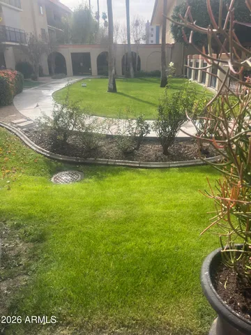 a view of a swimming pool with a yard