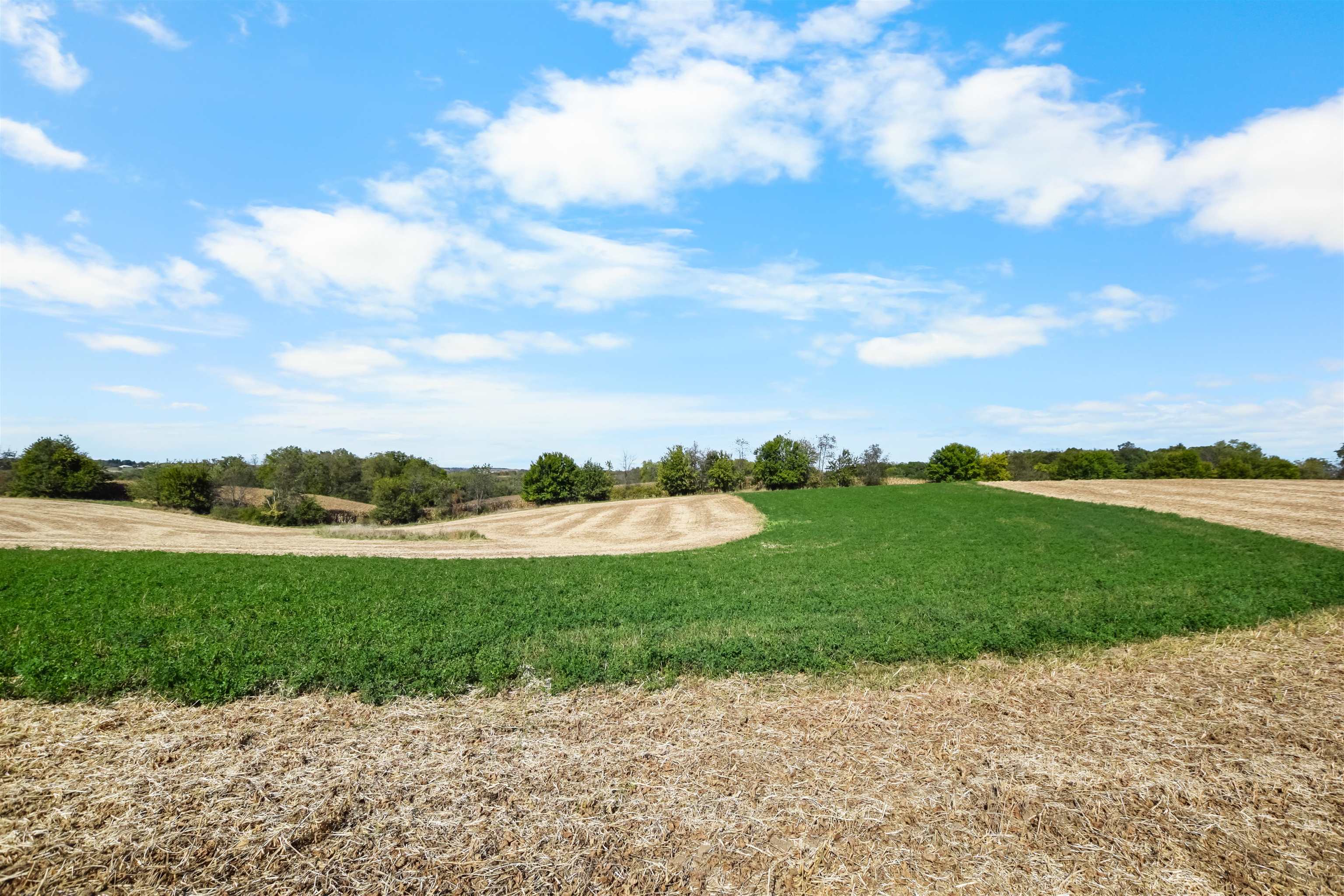 Lot 4 Dividing Ridge Monticello, WI 53570 - Photo 6 of 8