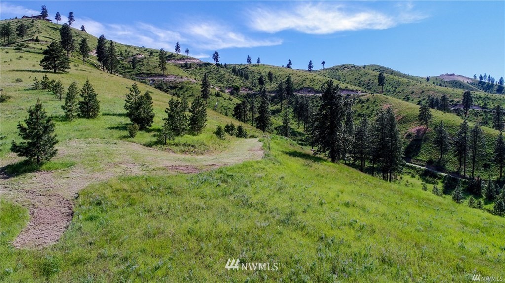 22 Hawks Meadow Road Chelan, WA 98816 - Photo 9 of 13 Gallery Image 9