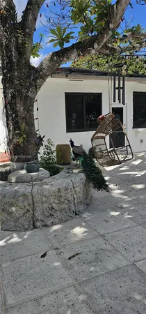 a view of street with flower plants