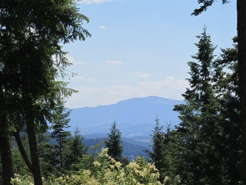 850 X Finley Gulch Road Colville, WA 99114 - Photo 1 of 20