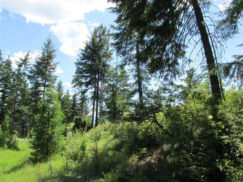850 X Finley Gulch Road Colville, WA 99114 - Photo 14 of 20