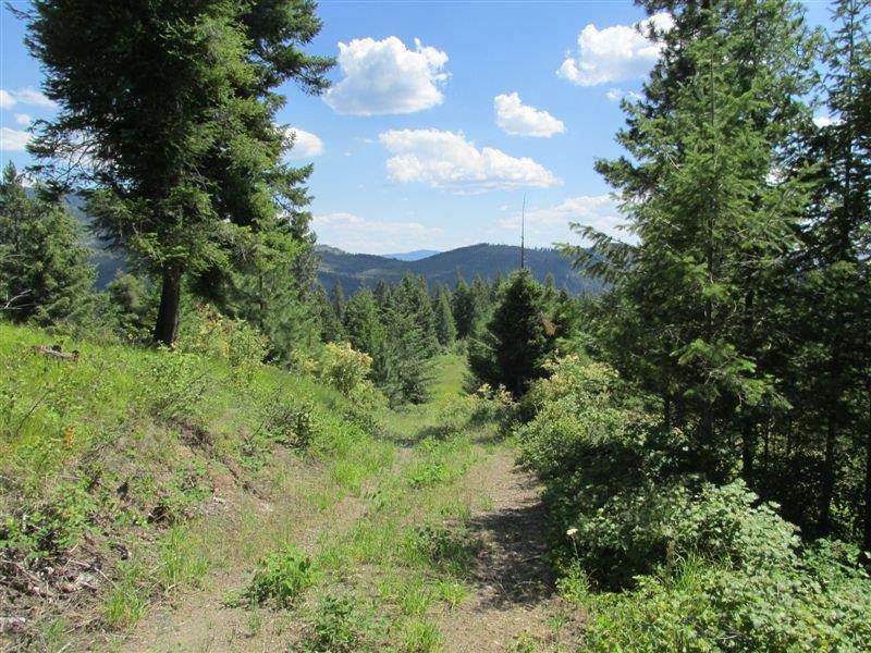 850 X Finley Gulch Road Colville, WA 99114 - Photo 3 of 20